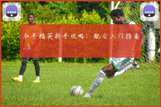 和平精英新手攻略：配合入门指南_3