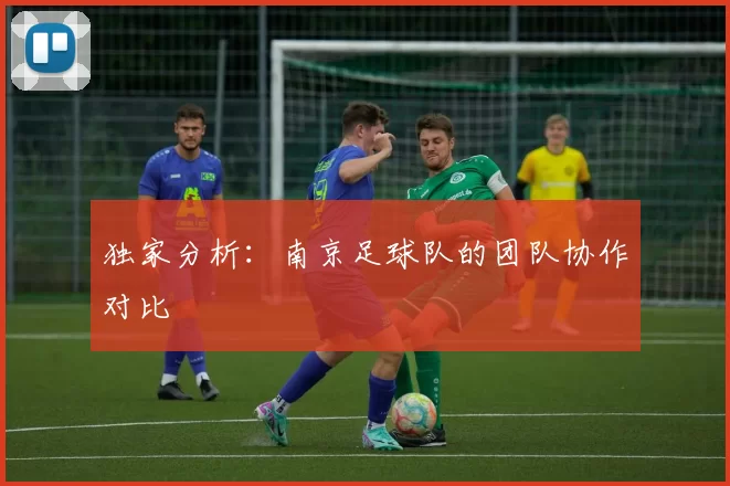 独家分析：南京足球队的团队协作对比