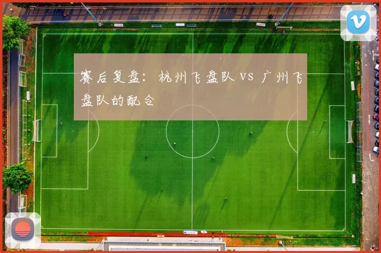 赛后复盘：杭州飞盘队 vs 广州飞盘队的配合