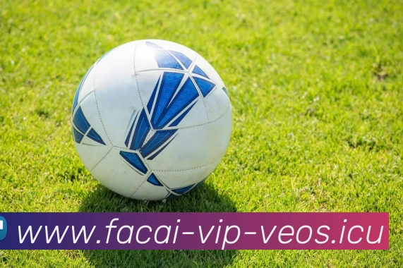 MK体育品牌故事