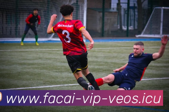 MK体育服务体系